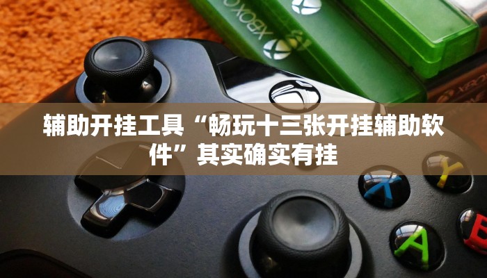 辅助开挂工具“中至吉安王炸开挂神器”其实确实有挂