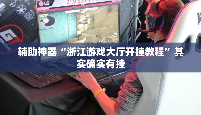 实测辅助”Winner通用挂”(详细开挂教程)