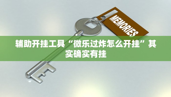 辅助开挂工具“微乐过炸怎么开挂”其实确实有挂