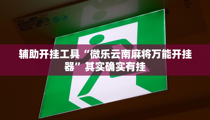 辅助开挂工具“微乐云南麻将万能开挂器”其实确实有挂