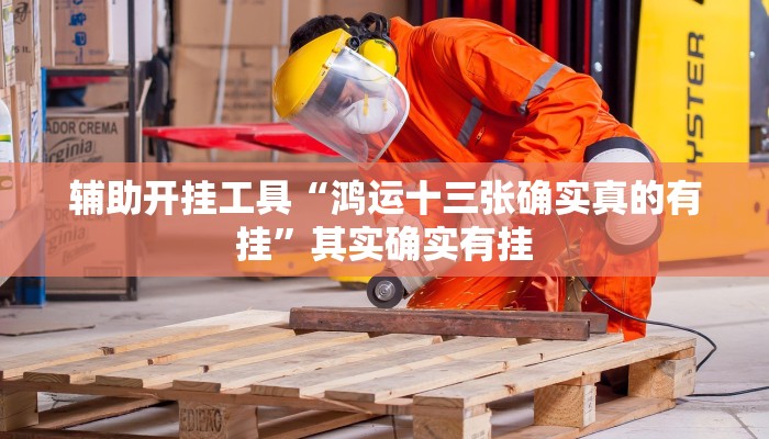 辅助开挂工具“鸿运十三张确实真的有挂”其实确实有挂