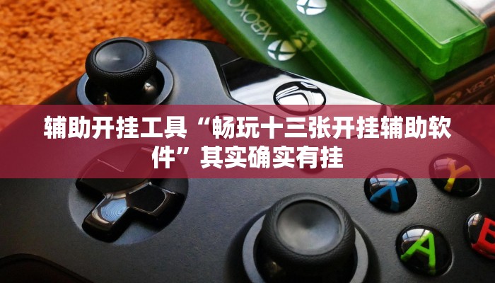 辅助开挂工具“畅玩十三张开挂辅助软件”其实确实有挂