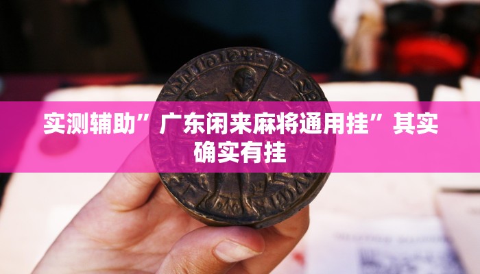 辅助神器“盛世棋牌2辅助怎么开挂”(详细开挂教程)