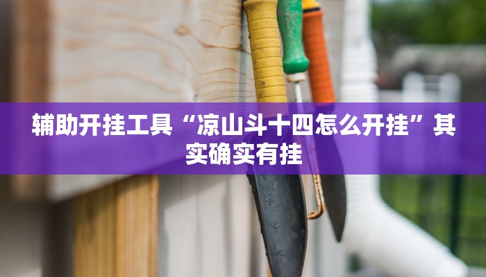 辅助开挂工具“凉山斗十四怎么开挂”其实确实有挂
