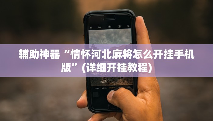 辅助神器“wepoker到底透视挂真的假的”(详细开挂教程)