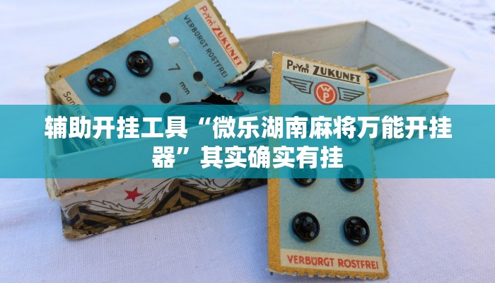 辅助开挂工具“微乐湖南麻将万能开挂器”其实确实有挂