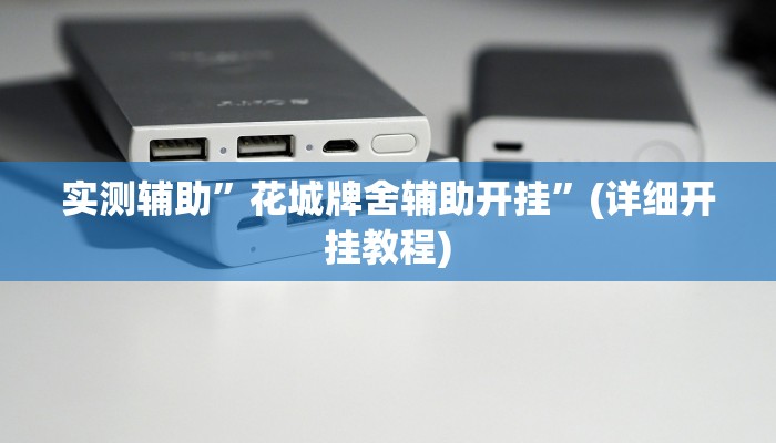 实测辅助”花城牌舍辅助开挂”(详细开挂教程)