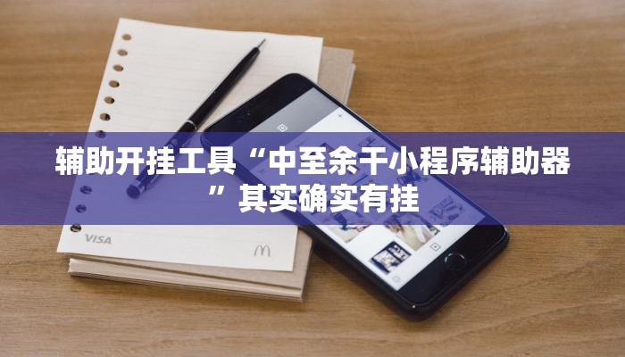 辅助开挂工具“中至余干小程序辅助器”其实确实有挂
