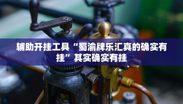 辅助开挂工具“蜀渝牌乐汇真的确实有挂”其实确实有挂