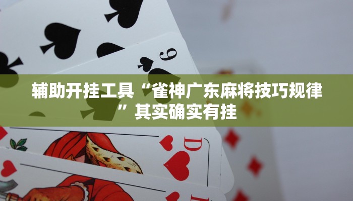 辅助神器“微信麻将开挂神器”(详细开挂教程)