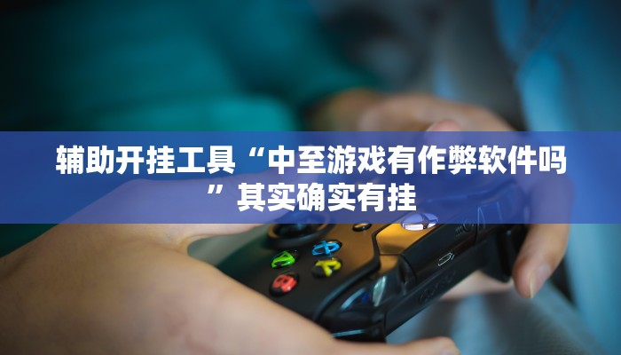 辅助开挂工具“中至游戏有作弊软件吗”其实确实有挂