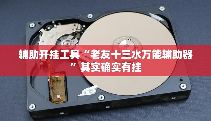 辅助开挂工具“老友十三水万能辅助器”其实确实有挂