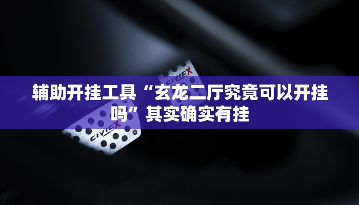 辅助开挂工具“玄龙二厅究竟可以开挂吗”其实确实有挂
