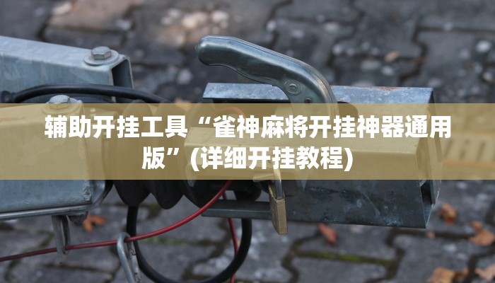 辅助开挂工具“雀神麻将开挂神器通用版”(详细开挂教程)