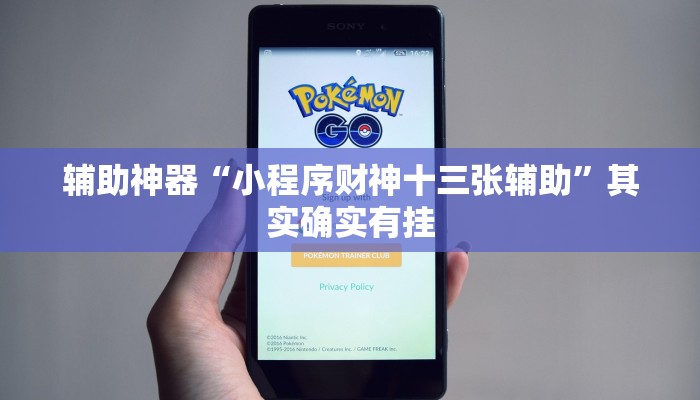辅助神器“小程序财神十三张辅助”其实确实有挂