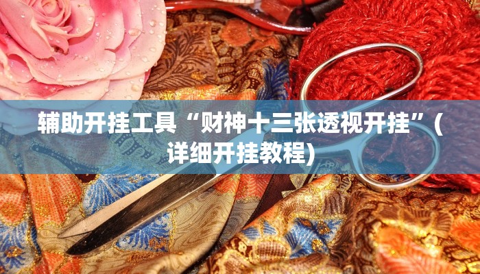 辅助开挂工具“财神十三张透视开挂”(详细开挂教程)