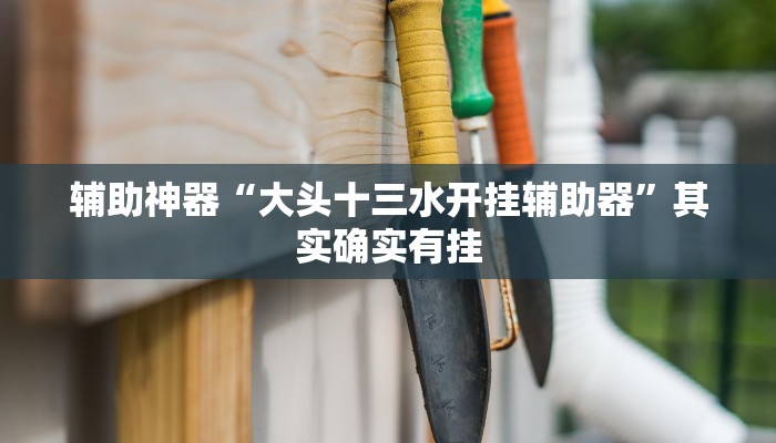 辅助神器“乐山贰柒拾开挂神器”其实确实有挂