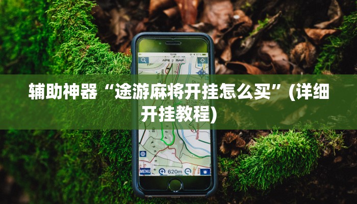 辅助神器“途游麻将开挂怎么买”(详细开挂教程)