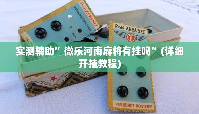实测辅助”微乐河南麻将有挂吗”(详细开挂教程)