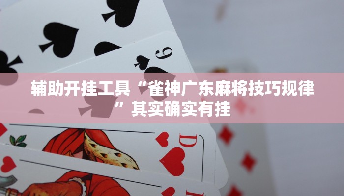 辅助开挂工具“雀神广东麻将技巧规律”其实确实有挂