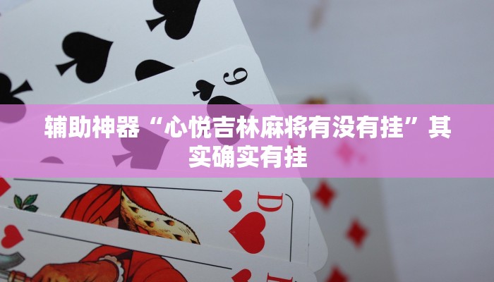 实测辅助”九尾大厅辅助器下载”(详细开挂教程)