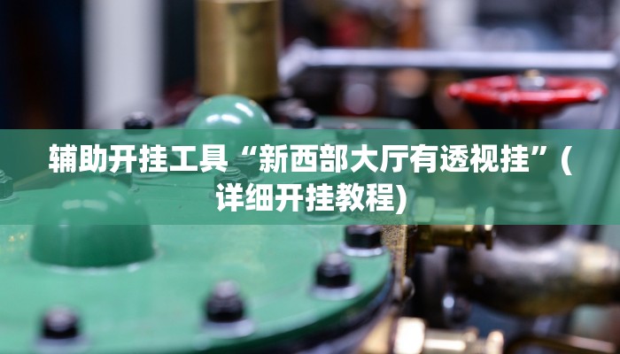 辅助开挂工具“新西部大厅有透视挂”(详细开挂教程)