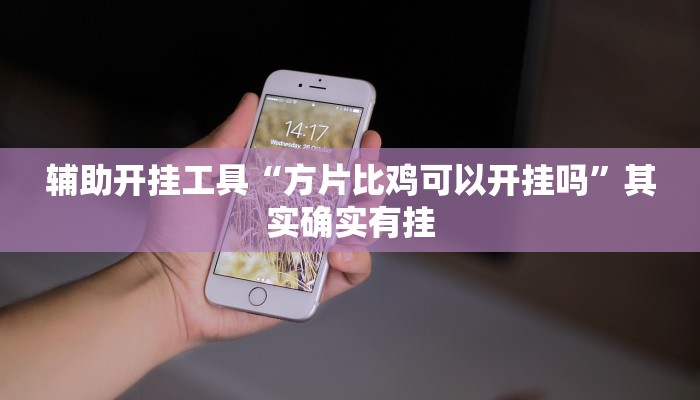 辅助开挂工具“方片比鸡可以开挂吗”其实确实有挂