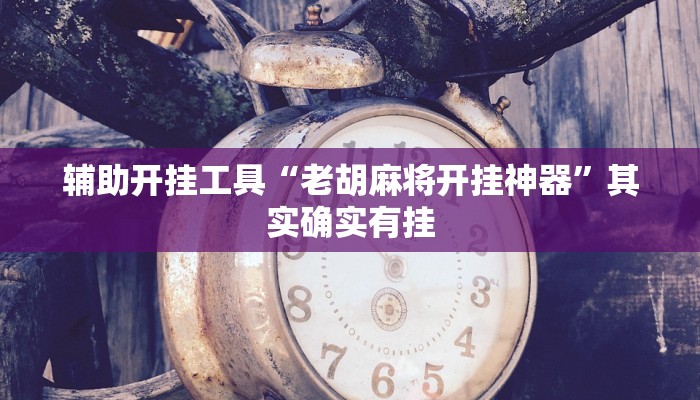 辅助开挂工具“老胡麻将开挂神器”其实确实有挂