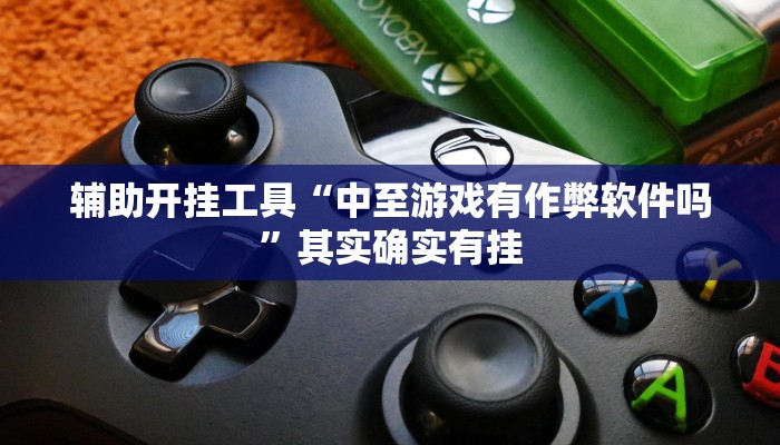 辅助开挂工具“中至游戏有作弊软件吗”其实确实有挂