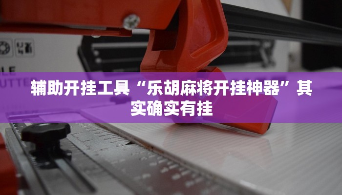 辅助开挂工具“乐胡麻将开挂神器”其实确实有挂