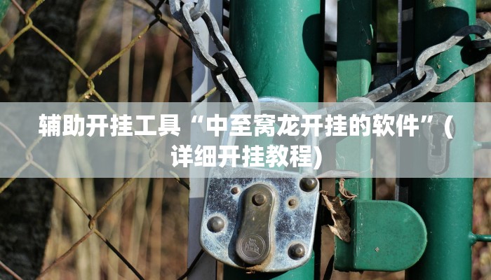 辅助开挂工具“中至窝龙开挂的软件”(详细开挂教程)