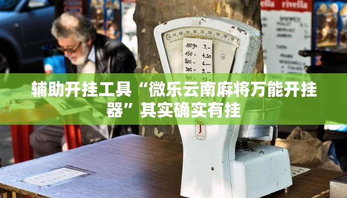 辅助开挂工具“微乐云南麻将万能开挂器”其实确实有挂
