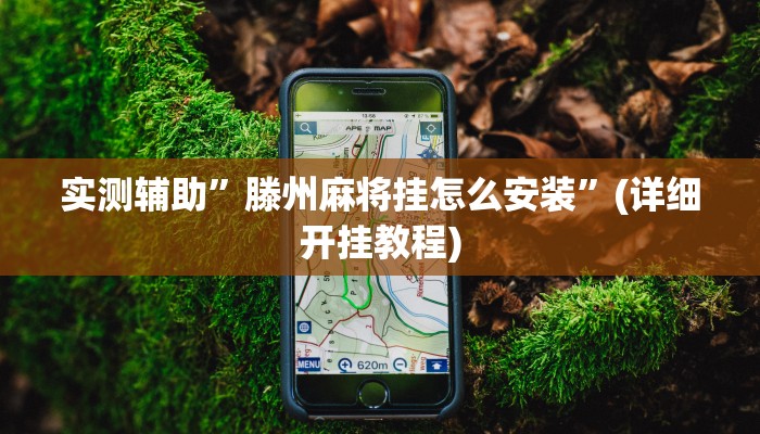 实测辅助”滕州麻将挂怎么安装”(详细开挂教程)