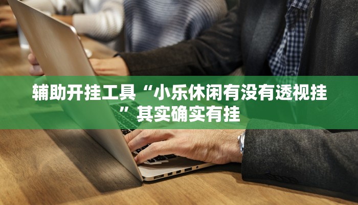 实测辅助”皮皮湖北麻将助赢神器”(详细开挂教程)