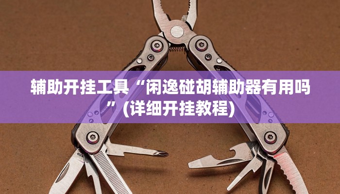 辅助开挂工具“闲逸碰胡辅助器有用吗”(详细开挂教程)