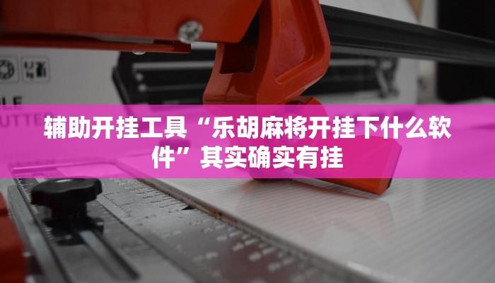 辅助开挂工具“乐胡麻将开挂下什么软件”其实确实有挂