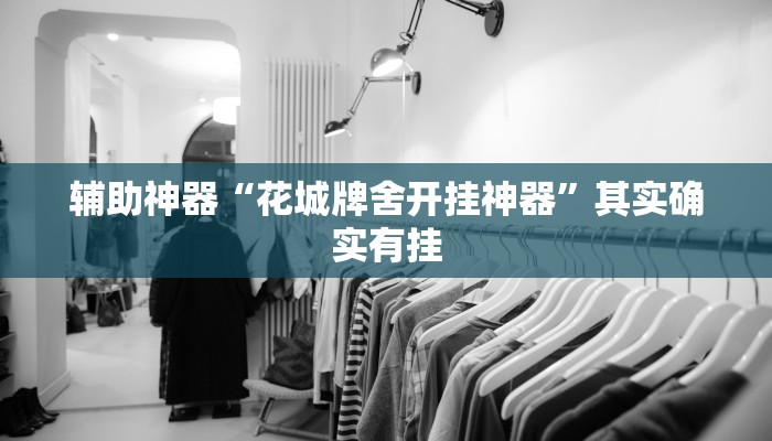 辅助神器“花城牌舍开挂神器”其实确实有挂