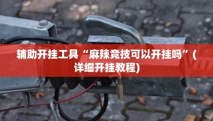 辅助开挂工具“麻辣竞技可以开挂吗”(详细开挂教程)