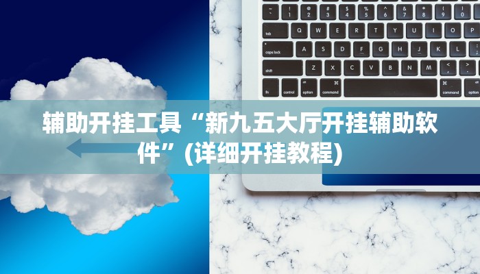 辅助开挂工具“新九五大厅开挂辅助软件”(详细开挂教程)