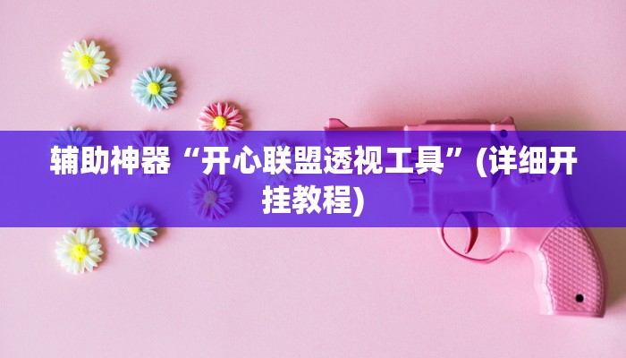 辅助神器“开心联盟透视工具”(详细开挂教程)
