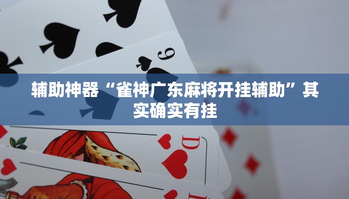 辅助神器“雀神广东麻将开挂辅助”其实确实有挂