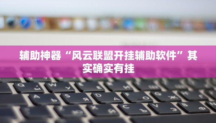 辅助神器“风云联盟开挂辅助软件”其实确实有挂