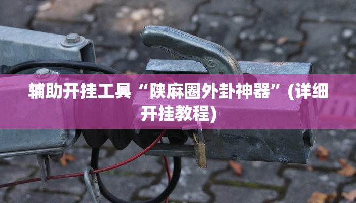 辅助开挂工具“陕麻圈外卦神器”(详细开挂教程)