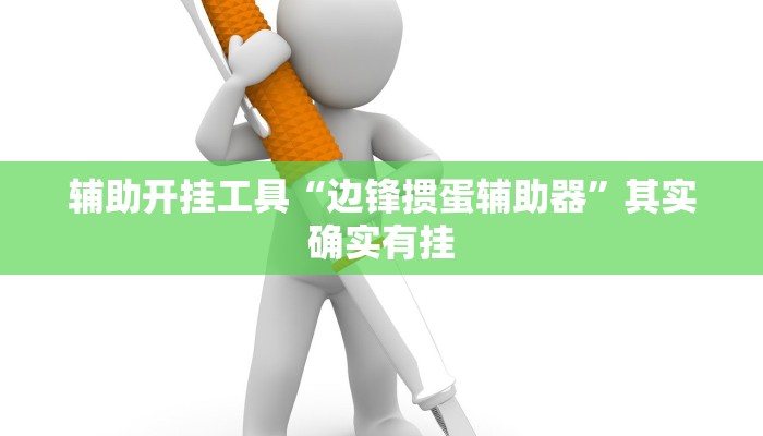 辅助开挂工具“边锋掼蛋辅助器”其实确实有挂