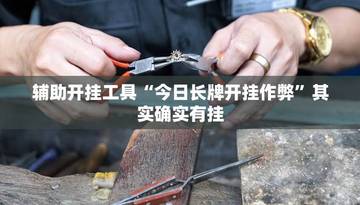 辅助开挂工具“今日长牌开挂作弊”其实确实有挂