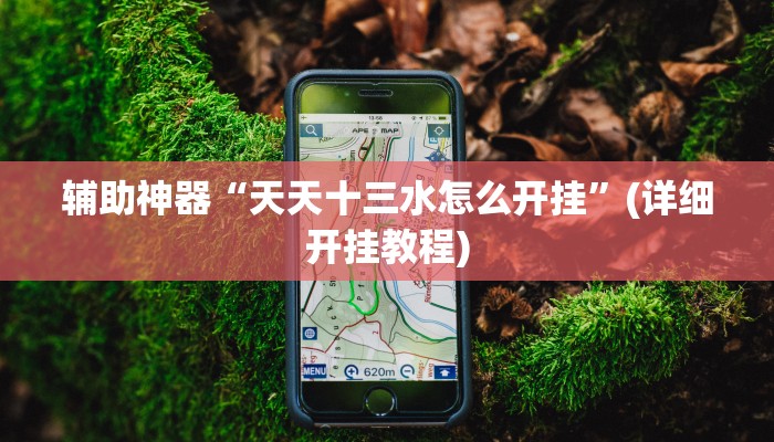 辅助神器“天天十三水怎么开挂”(详细开挂教程)