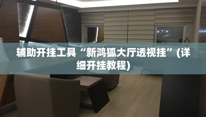 辅助开挂工具“新鸿狐大厅透视挂”(详细开挂教程)