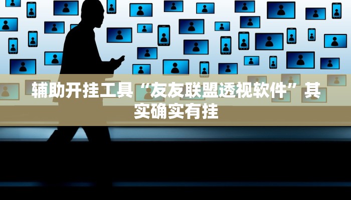 辅助开挂工具“友友联盟透视软件”其实确实有挂