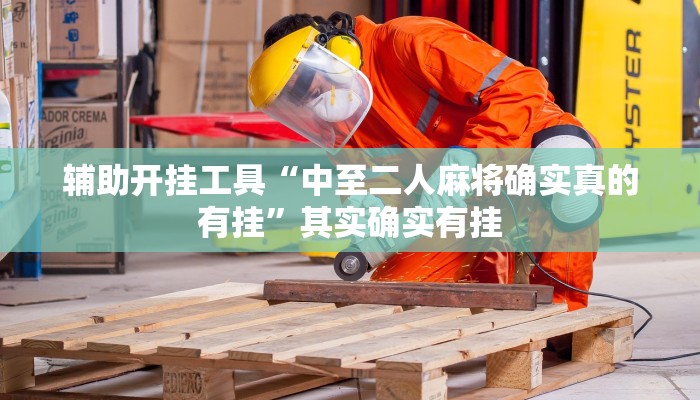 辅助开挂工具“中至二人麻将确实真的有挂”其实确实有挂