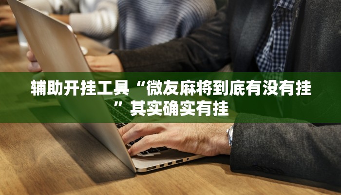 辅助开挂工具“微友麻将到底有没有挂”其实确实有挂